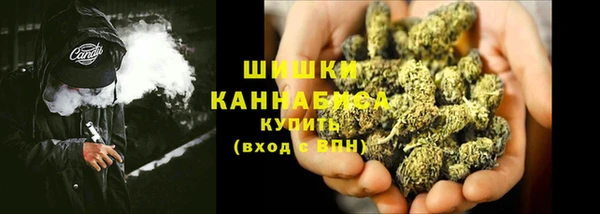 сатива Арсеньев