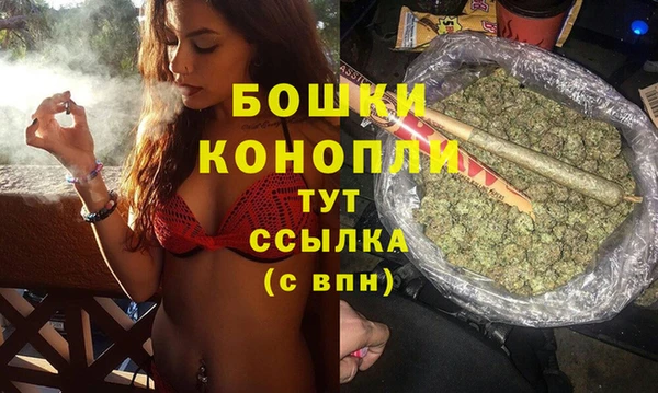 сатива Арсеньев