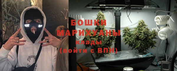 сатива Арсеньев