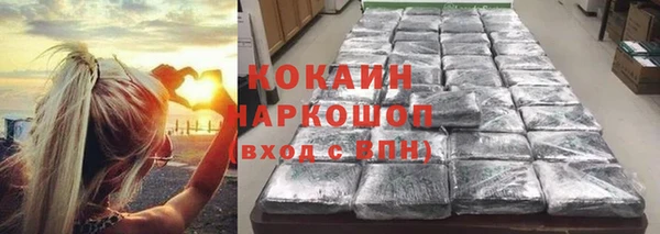 сатива Арсеньев