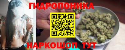 a pvp Донецк