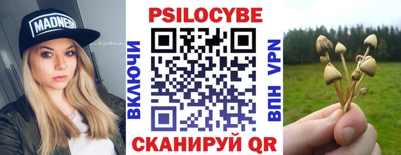Галлюциногенные грибы Cubensis  наркошоп  Муравленко 