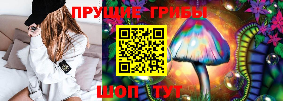Галлюциногенные грибы Cubensis Муравленко